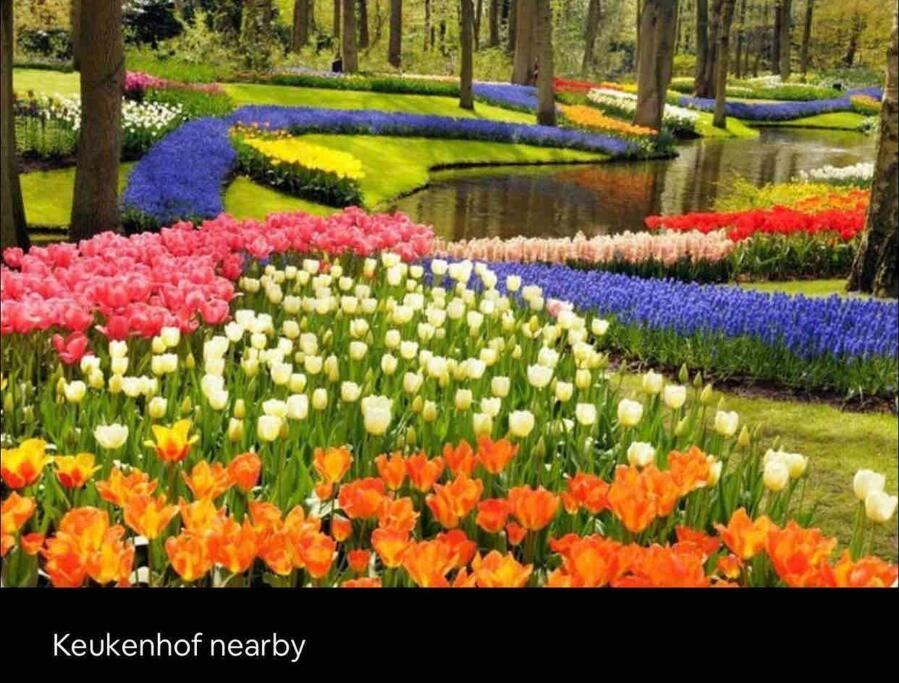 Family House With Garden & Jacuzzi & Sauna Near Amsterdam Vijfhuizen 외부 사진